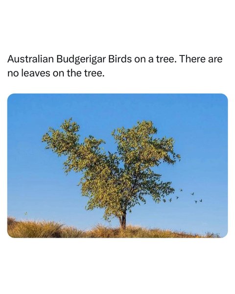 Thumbnail of p-cwxwetdaaxh-006bea9443c24cb2 2