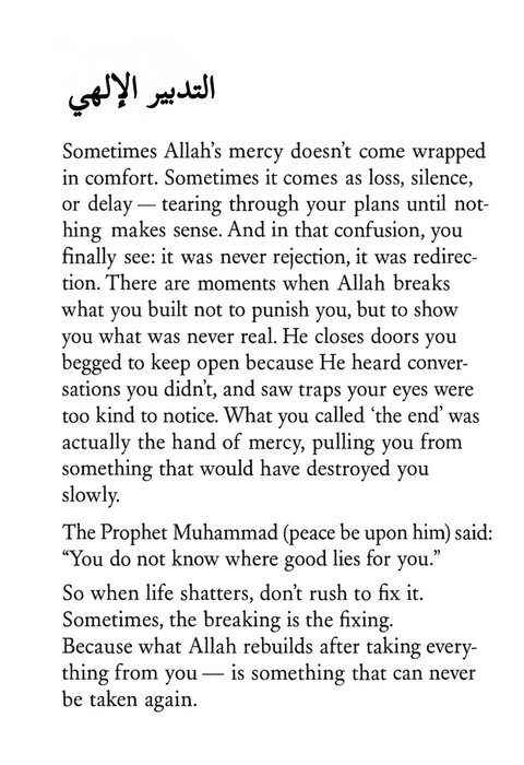 Thumbnail of www-x-com-alquranconnect-status-1983800723830972791-0072336121fe4765