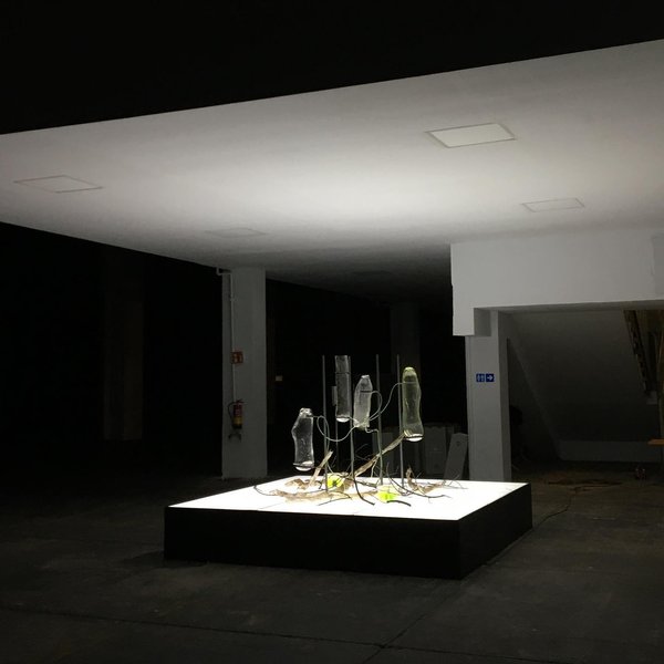 Thumbnail of ck-cjgcd5mg-0093a5d783634618 0