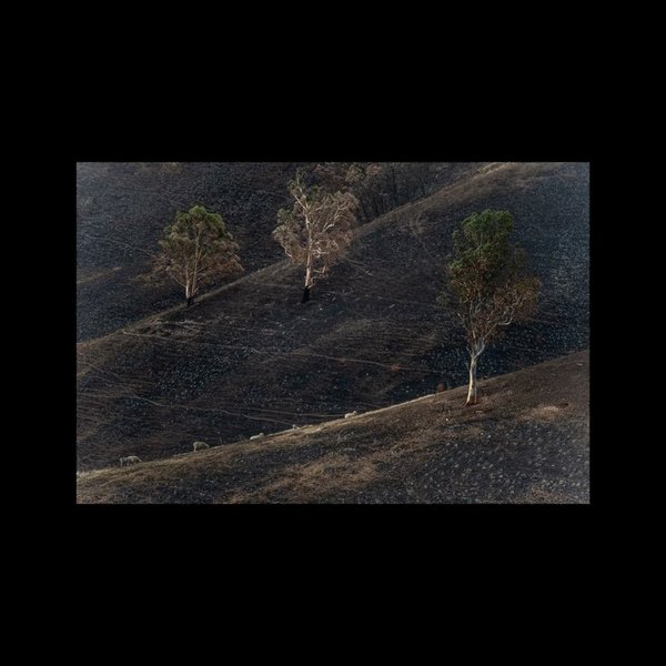 Thumbnail of ck-cjgcd5mg-0093a5d783634618 3