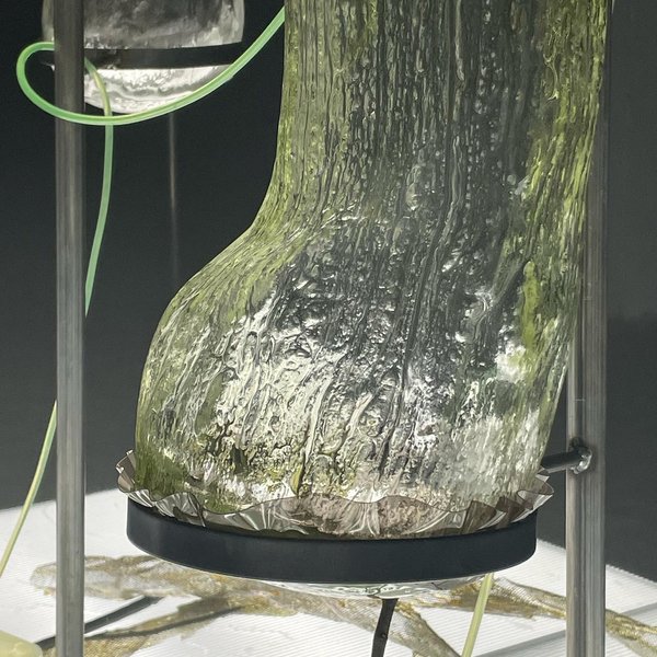 Thumbnail of ck-cjgcd5mg-0093a5d783634618 4