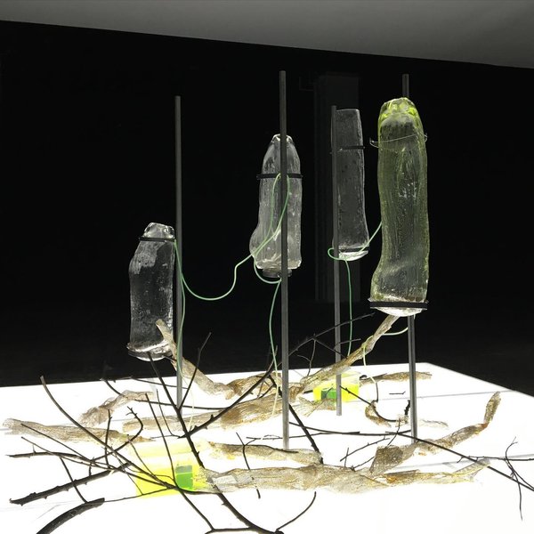 Thumbnail of ck-cjgcd5mg-0093a5d783634618 7