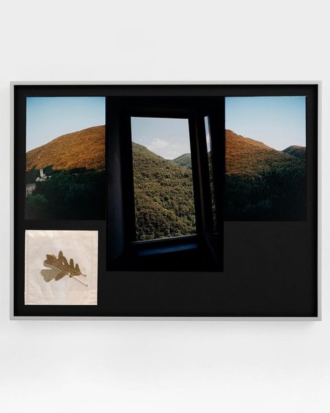 Thumbnail of c-2zuh6rhod-009a668860014ca9 2