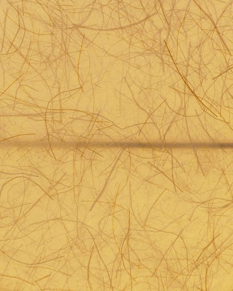 Thumbnail of p-dfdbqaxgq2q-00a2332eea234610 2