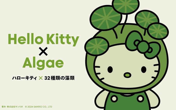 Thumbnail of p-dai9otrovtu-00bbac0794d24ace 1