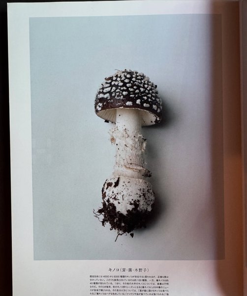 Thumbnail of p-dnbroairlru-00ec1a221ef54dd6 7