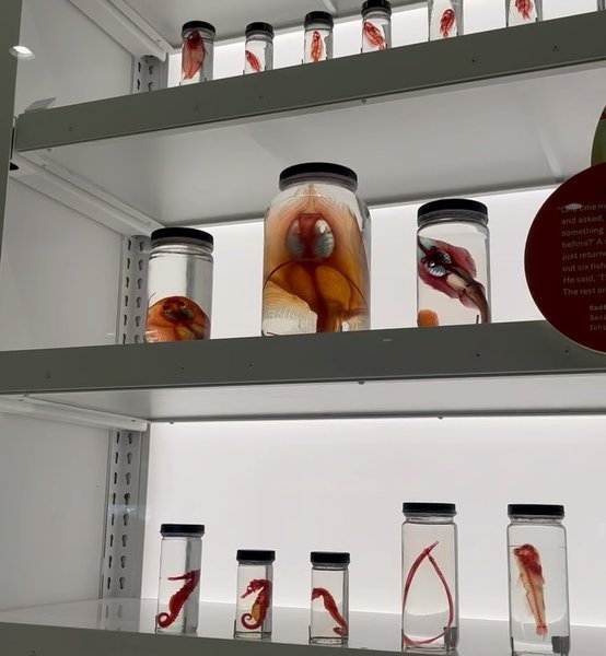 Thumbnail of p-c33a1z4rswl-00ee4e83f0354a1f 7