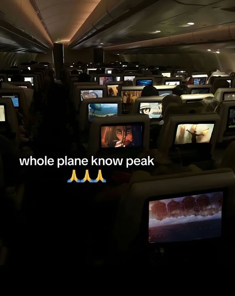 Thumbnail of p-dk40wcau2y4-010954abd631442b 8