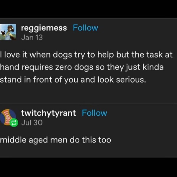 Thumbnail of p-c1ilzlgsdzm-012083ebdd9a4510 0