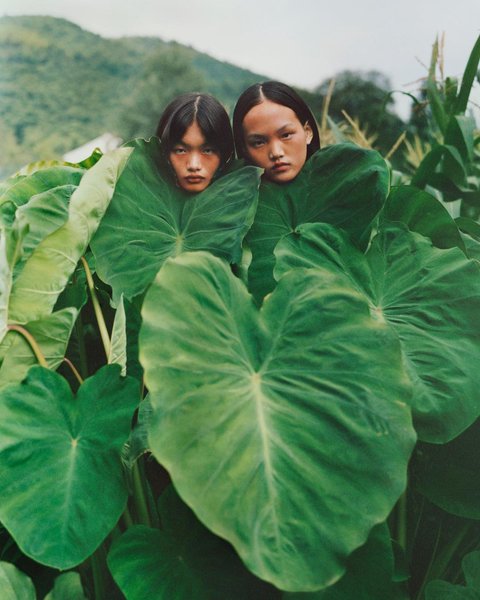 Thumbnail of bqhsfc0aa-0-016449f687b94803 0