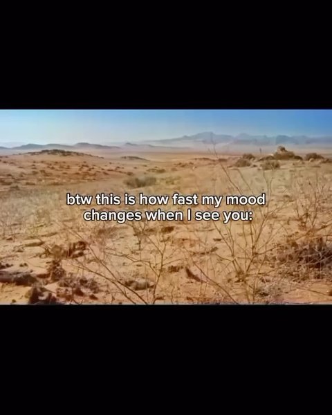 Thumbnail of p-dizwrwisjfb-0191ce212e8f48d8 3