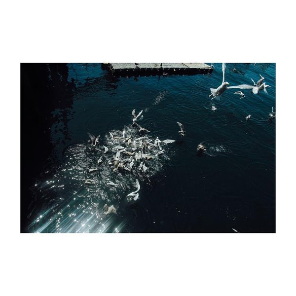 Thumbnail of bw-lvxtacss-01b571b2f448434b 0