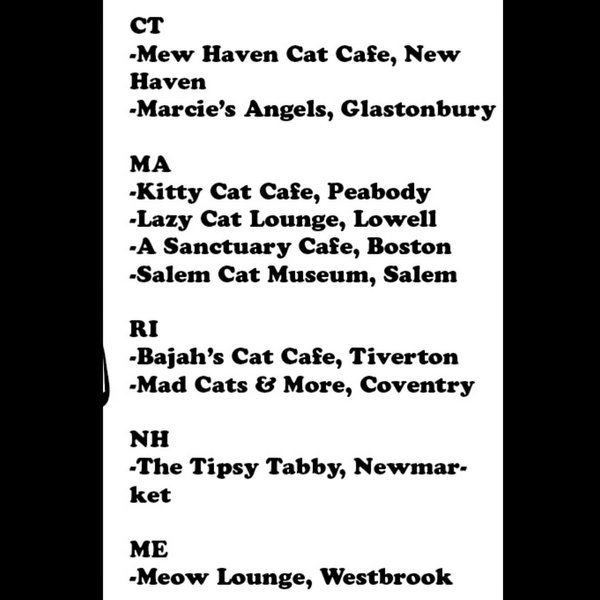 Thumbnail of p-djujuneoecr-025ad255f20f4d97 1