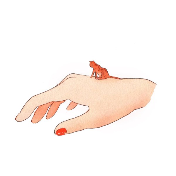 Thumbnail of p-co52b04sdu6-026b49e71c6f458a 1