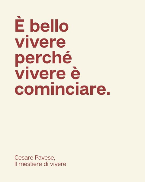 Thumbnail of www-instagram-com-p-drzym5fcvd5-img-index-4 10