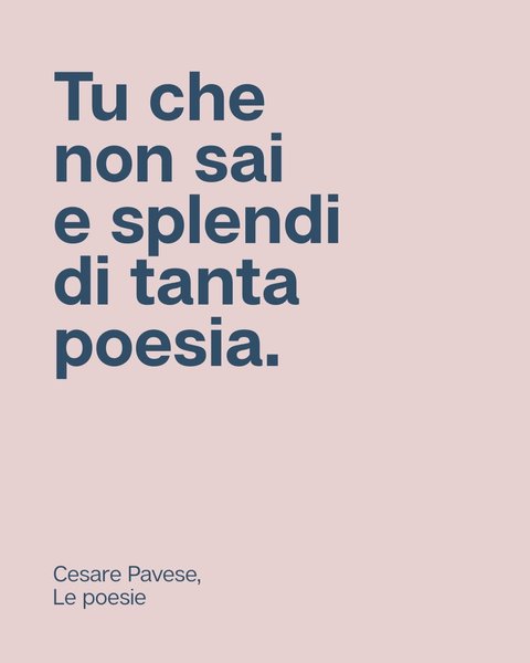 Thumbnail of www-instagram-com-p-drzym5fcvd5-img-index-4 6