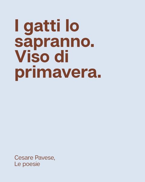 Thumbnail of www-instagram-com-p-drzym5fcvd5-img-index-4 9