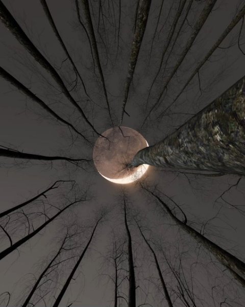 Thumbnail of p-cu6eixnsbfj-0277cc552d7b4411 1