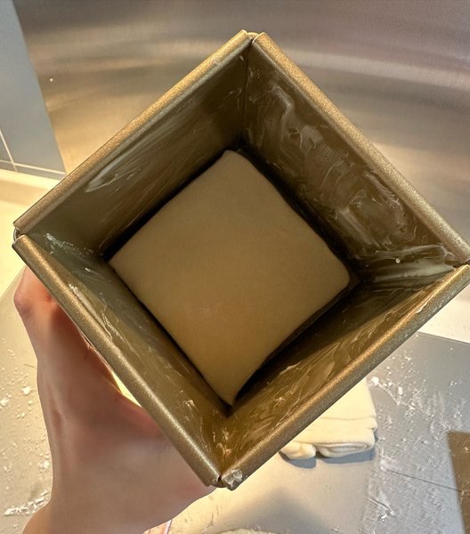 Thumbnail of p-cpsf5nlsdq9-0282e8c501a54739 5