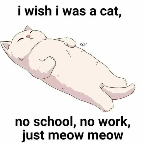 Thumbnail of ckd5f-zktlh-02a38ff010334a08 0