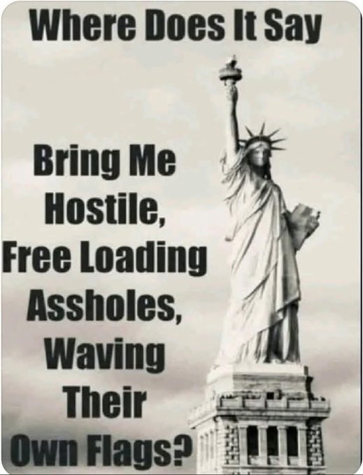 Thumbnail of www-x-com-gunthereagleman-status-1985741375120548295-02db1db38af34433