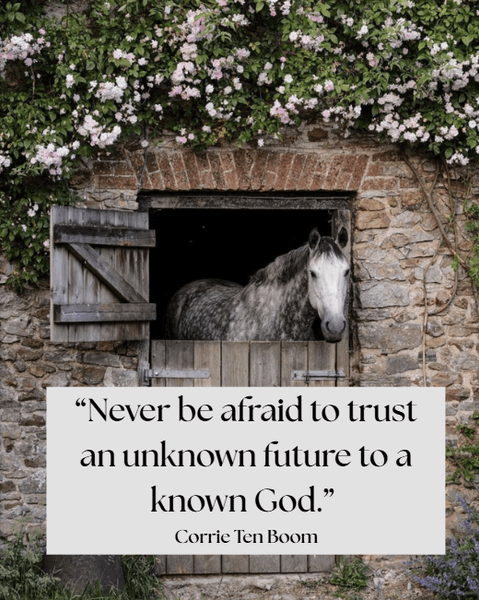 Thumbnail of kylie-baldwin-kybaldwin-02efa1f94ed94b1b 0