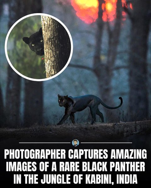 Thumbnail of p-cxoqj05t4xb-02f9c76e91c04b99 0