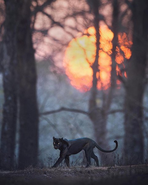 Thumbnail of p-cxoqj05t4xb-02f9c76e91c04b99 3