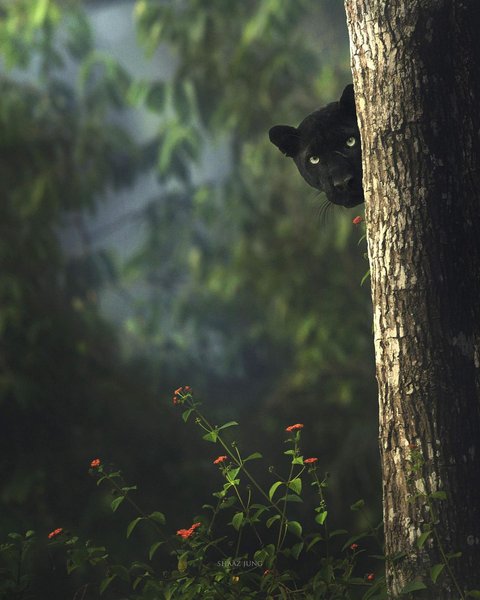 Thumbnail of p-cxoqj05t4xb-02f9c76e91c04b99 4