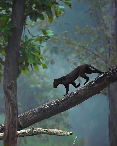 Thumbnail of p-cxoqj05t4xb-02f9c76e91c04b99 5