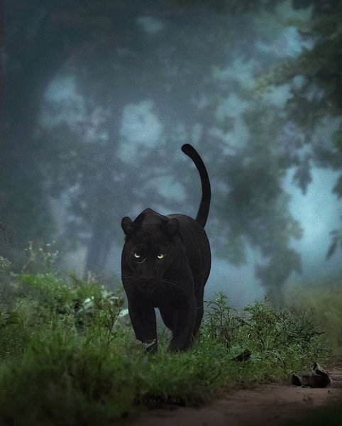 Thumbnail of p-cxoqj05t4xb-02f9c76e91c04b99 7