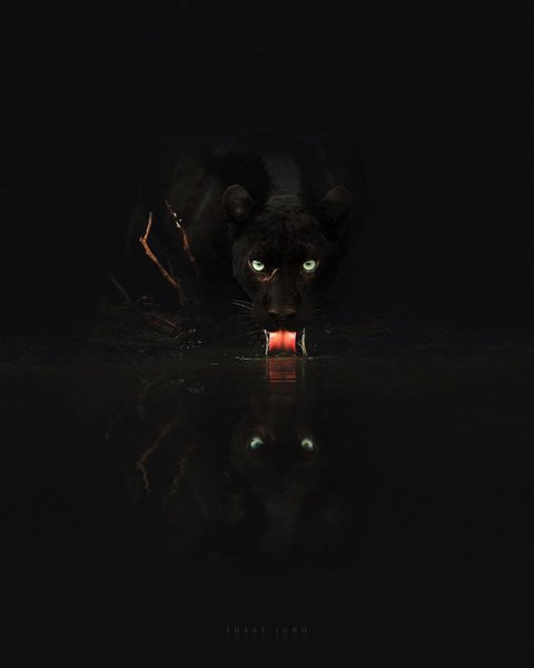 Thumbnail of p-cxoqj05t4xb-02f9c76e91c04b99 8