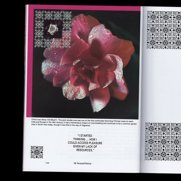 Thumbnail of p-dc11lg1paum-031747dd689c4d41 2