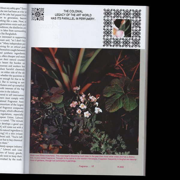 Thumbnail of p-dc11lg1paum-031747dd689c4d41 3