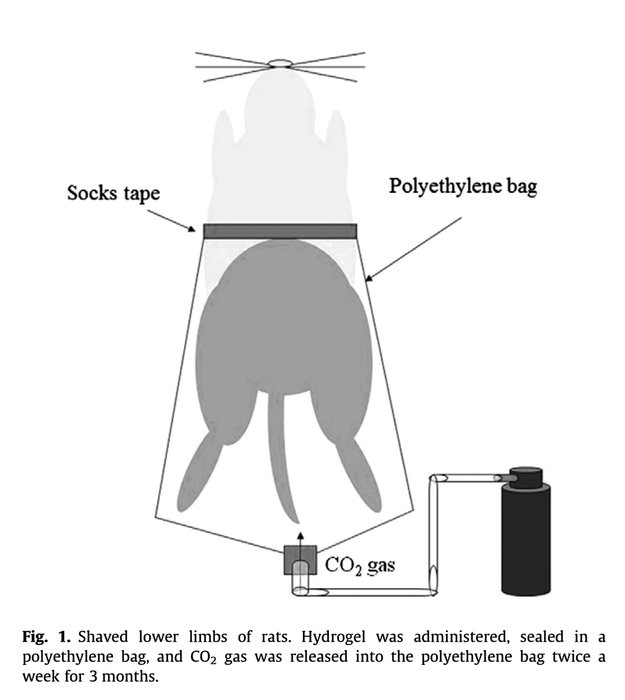 Thumbnail of www-x-com-anabology-status-1774881085827989748-0365493c8d284c58