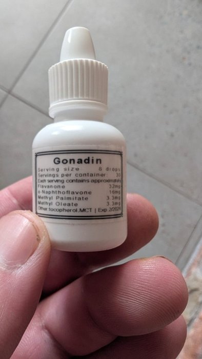 Thumbnail of www-x-com-hansamato-status-1976627519378858020-0392d38179914d6e