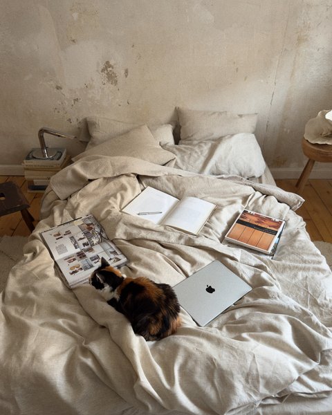 Thumbnail of p-dfqjjpfmzjr-03a9aa36817b4658 2