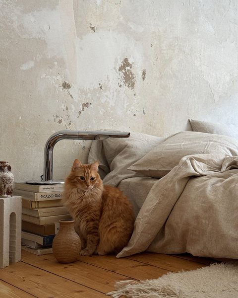 Thumbnail of p-dfqjjpfmzjr-03a9aa36817b4658 3