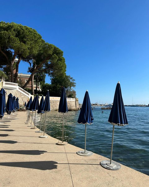 Thumbnail of p-cvsrpd6qavp-03cb6afd505344d7 3