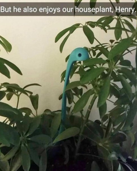 Thumbnail of ct-eeahrz7u-0429a6ecbda84f48 3