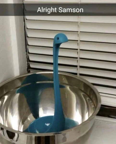 Thumbnail of ct-eeahrz7u-0429a6ecbda84f48 4