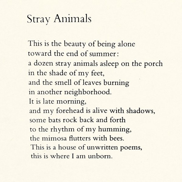 Thumbnail of p-dnp78ndgwge-0436a8c3167e46d4 0