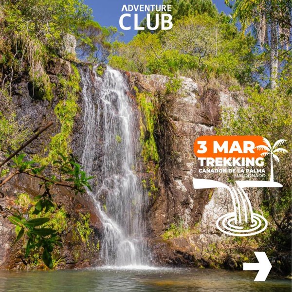 Thumbnail of p-c3nfixcrk5w-04478c6f3e7c4618 0