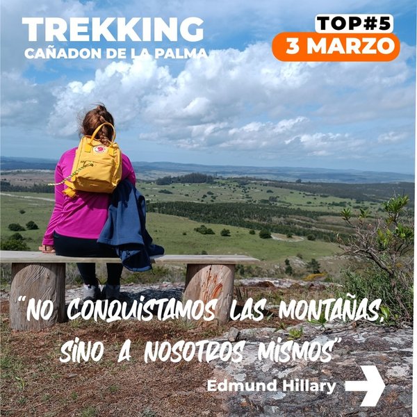 Thumbnail of p-c3nfixcrk5w-04478c6f3e7c4618 5