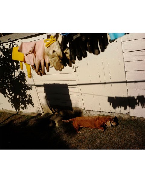 Thumbnail of cxf-ctxmi7o-04a1180bbb6f47ce 5