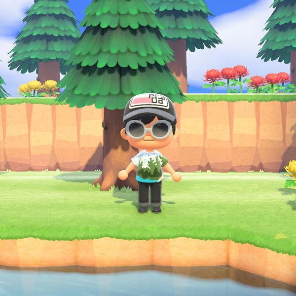 Thumbnail of fphx-arqz-04c2b3a61f0a4251 0