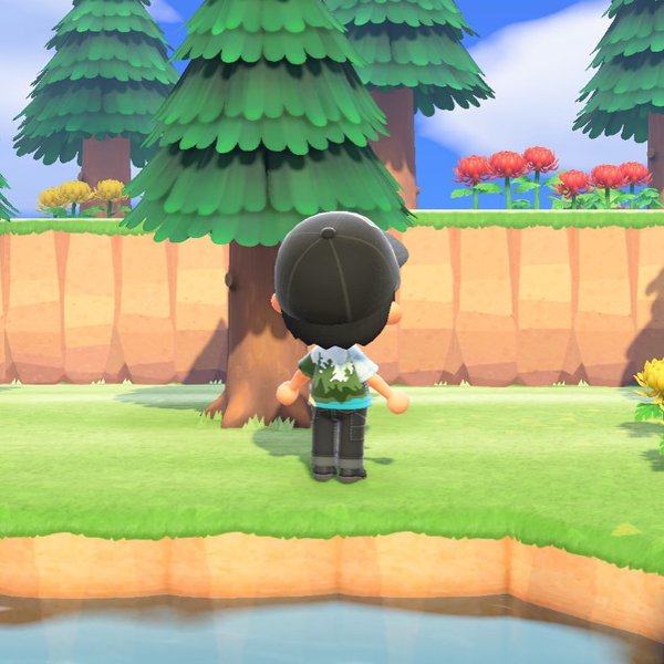 Thumbnail of fphx-arqz-04c2b3a61f0a4251 1