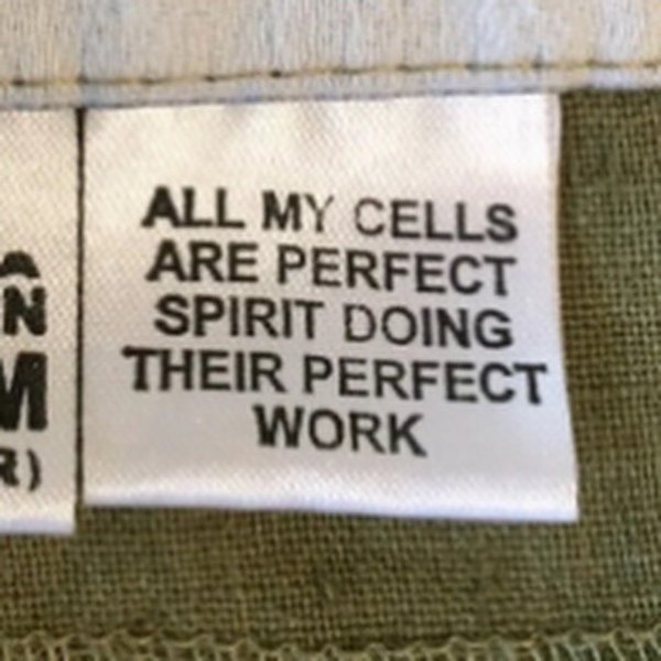 Thumbnail of p-cvydm22pdat-04e8ad8c9fb443ba 0