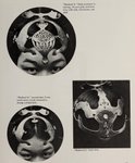 Thumbnail of Sublime