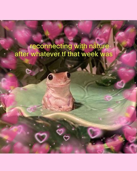 Thumbnail of cy-httsrrwh-05a7b20f572148c6 0